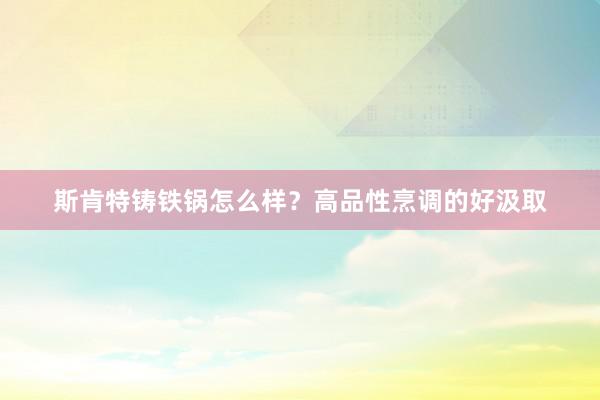 斯肯特铸铁锅怎么样？高品性烹调的好汲取