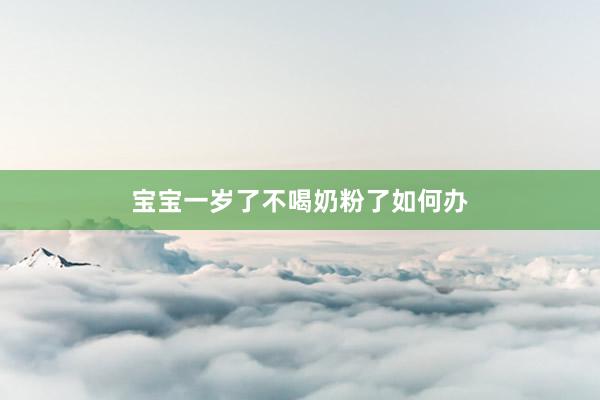 宝宝一岁了不喝奶粉了如何办