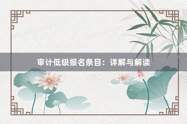 审计低级报名条目：详解与解读