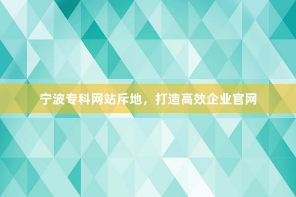 宁波专科网站斥地，打造高效企业官网